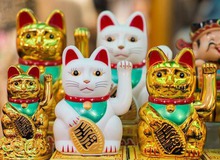 Câu chuyện thú vị về nguồn gốc ra đời tượng mèo Maneki-neko may mắn nổi tiếng của Nhật Bản