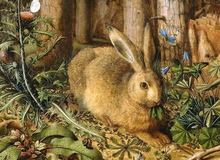 Hình tượng loài thỏ trong nền văn hóa thế giới: Đại diện cho sự nhanh nhẹn, tham vọng và đặc biệt liên quan đến mặt trăng