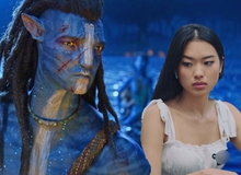 Quốc gia hiếm hoi mà Avatar 2 không thể 'công phá' phòng vé: Bom tấn Hollywood cũng xếp sau thể loại này