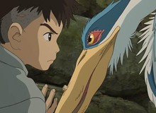 Không thể bỏ lỡ tuyệt tác mới của “phù thủy” Miyazaki Hayao “Thiếu Niên Và Chim Diệc”