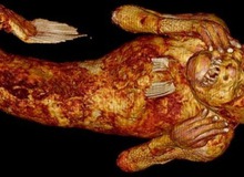Danh tính bất ngờ của xác ướp 'nàng tiên cá' 300 năm tuổi ở Nhật Bản vừa được tiết lộ