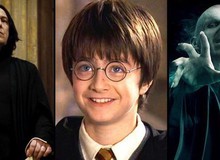 Loạt giả thuyết khó tin nhưng có thể thay đổi Harry Potter mãi mãi: Nam chính và phản diện là anh em ruột?