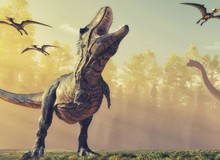 Có bao nhiêu khủng long bạo chúa từng tồn tại trên Trái đất?