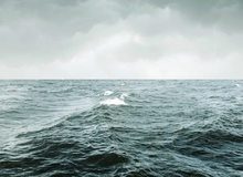 Nếu nước biển đột ngột biến mất, vì sao hàng trăm triệu người phải gấp gáp di dời?