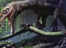 Phát hiện cơ chế hô hấp kỳ lạ của loài khủng long: Thở thông qua xương
