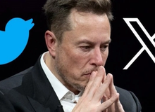 Elon Musk thừa nhận tình hình u ám tại 'Twitter'