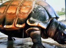 Cứ ngỡ ''cụ rùa'' Tây Du Ký là tưởng tượng, hóa ra ''bản real'' dài 5m từng sống trên Trái đất