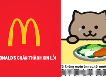Quảng cáo "ăn theo" vụ việc của nam game thủ Mèo Béo, McDonald's tự "đạp đổ" bát cơm