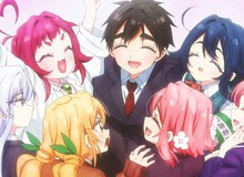 Anime harem hay nhất theo người hâm mộ