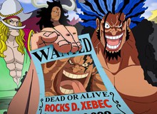 One Piece 1162: Oda chính thức xác nhận bộ ba hải tặc mạnh nhất lịch sử đối đầu Imu