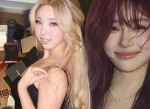 Phim cũng không dám viết: Hotgirl “Thuần khiết gợi cảm” đánh cắp thân phận “thiên kim”, lừa đảo 22 tỷ đồng