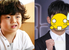 Cậu nhóc gây bão với biểu cảm "cười đểu", 17 năm sau lột xác chóng mặt, thành tích học siêu khủng!