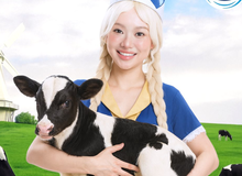 Chọn lối đi riêng, hot girl nhập vai "chăn bò" đón Halloween khiến fan cười nắc nẻ