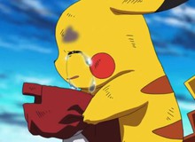 Cay đắng: Bộ sưu tập Pokémon TCG trị giá hàng ngàn USD mất trắng sau 3 ngày bị ngâm nước thải