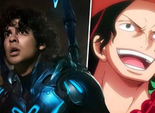 Cosplayer cày cuốc 2 năm để đóng Ace trong One Piece live-action, cuối cùng nổi giận đổ lỗi Netflix thiên vị