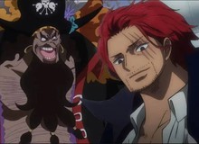 One Piece chương 1166 hé lộ lý do tại sao Râu Đen hận thù Shanks