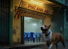 Phở Anh Hai xuất hiện phiên bản trailer phim hành động: Ê nha, khéo bom tấn!