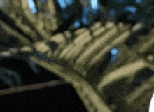 Lâu rồi mới có mỹ nhân giả trai được khen hết lời, đáng nể nhất là mặt mộc đỉnh cao