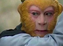 Tại sao chỉ một chút bụi đã khiến Tôn Ngộ Không suýt bị mù?