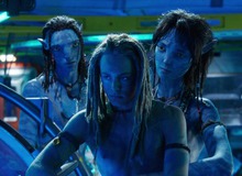 Nằm mơ cũng không tin có cặp đôi lệch nhau 55 tuổi, xem đến cảnh hôn mà ai nấy đau đầu nhức óc