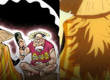 Sai lầm này trong One Piece đã đánh lừa người hâm mộ hơn một thập kỷ