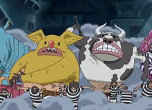 One Piece giải đáp một bí ẩn lớn về trái ác quỷ sau 17 năm