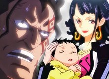 One Piece: Mẹ Luffy "đã lộ diện" ngay trước mắt fan, những manh mối bí ẩn từ Oda