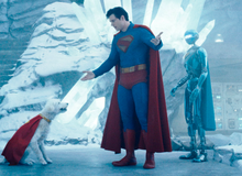 5 lý do bạn nên xem Superman (2025): Một bộ phim chữa lành giữa thời kỳ siêu anh hùng "bội thực"