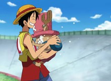 28 năm sau, One Piece xác nhận khả năng "độc nhất vô nhị" của Luffy