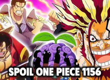 Spoil One Piece chương 1156: Hồi ức chấn động hé lộ bí mật về Rocks, Roger và nữ hoàng Kuja