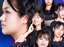 One Star Esports ghi tên vào lịch sử, trở thành đại diện Liên Quân Mobile nữ tại đấu trường SEA Games 33