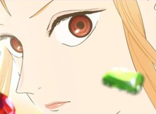 One Piece công bố anime spin-off mới về các nữ anh hùng