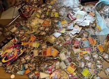 Netizen phẫn nộ căn phòng trọ biến thành "mồ chôn" của vô số thẻ bài Pokémon