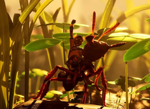 Vừa ra mắt, tựa game này đã phá kỷ lục người chơi trên Steam, gây sốt cả cộng đồng