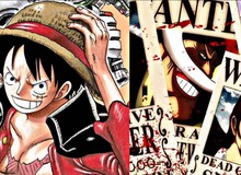 One Piece: Oda "chơi chữ" về mức truy nã cuối cùng của Luffy, sẽ vượt mặt cả Vua hải tặc Roger