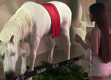 Đi "ngắm ngựa", hot girl khiến người xem ngỡ ngàng với diện mạo xinh đẹp