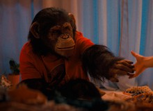 Nói không với CGI, con người tự hóa thân thành tinh tinh sát thủ trong siêu phẩm kinh dị mở màn 2026