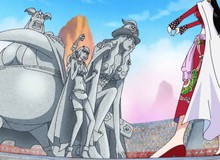 One Piece: 5 trái ác quỷ có thể khắc chế khả năng hồi phục không tưởng của Hiệp sĩ Thánh