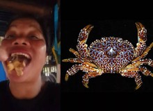 Nữ KOL nổi tiếng tử vong sau khi nuốt cua quỷ cực độc trên sóng livestream