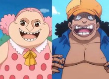 Sự thật về quá khứ các Tứ Hoàng One Piece: Từ đứa trẻ mồ côi đến "con ông cháu cha" giới Thiên Long Nhân