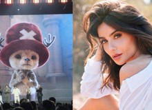 Diễn viên đóng Chopper trong One Piece live action từng tưởng mình vào vai quái vật xấu xí, nhớp nháp