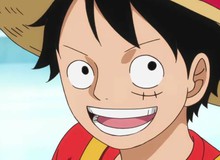 Fan One Piece tính toán phải chi khoảng 2,5 tỷ đồng mỗi ngày để "trục vớt" bí mật của Oda dưới đáy biển