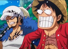 Bí ẩn chữ "D" trong One Piece: Những giả thuyết chấn động nhất về kẻ thù tự nhiên của các vị thần