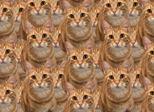 Một tựa game "free 100%" trên Steam nhận điểm số 9/10, người chơi rating "đỉnh của chóp"