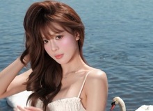 Chụp ảnh với thiên nga, hot girl như bước ra từ chuyện cổ tích