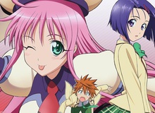 Top 8 anime Harem huyền thoại: Những cực phẩm khiến anh em game thủ khao khát được làm nam chính