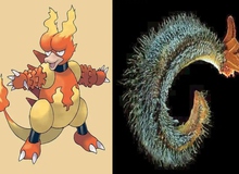 Bí ẩn về 7 loài động vật có sức mạnh tương đồng với Pokémon huyền thoại