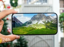 Sốc: Giá ngang nhau, chọn iPhone 15 hay iPhone 15 Plus mới là món hời thực sự?