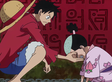 One Piece: Top 8 nhân vật đổi đời và thăng hoa sức mạnh sau khi gặp gỡ Luffy