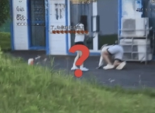 Cựu tuyển thủ nổi tiếng giả vờ ngã để nhìn trộm váy cô gái lạ, dư luận bùng nổ bức xúc